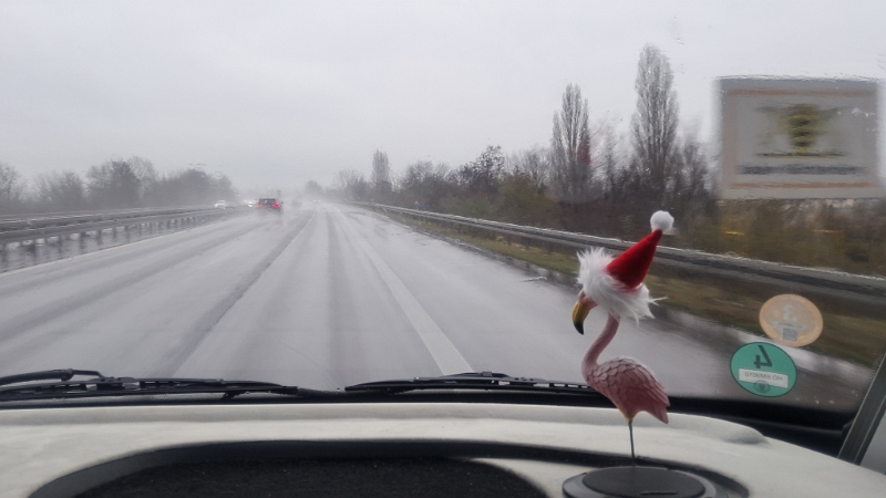 20251130_125417.jpg - ..ins "Länd". ;-)Bis zum nächsten mal! Tschüss... :-)