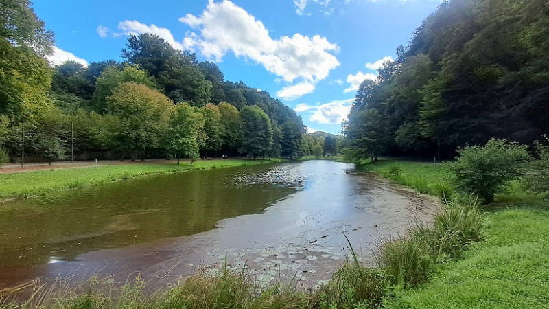 20250830_161644.jpg - Mit vollem Bauch laufen wir über umwege zurück zum Lemberger Weiher...