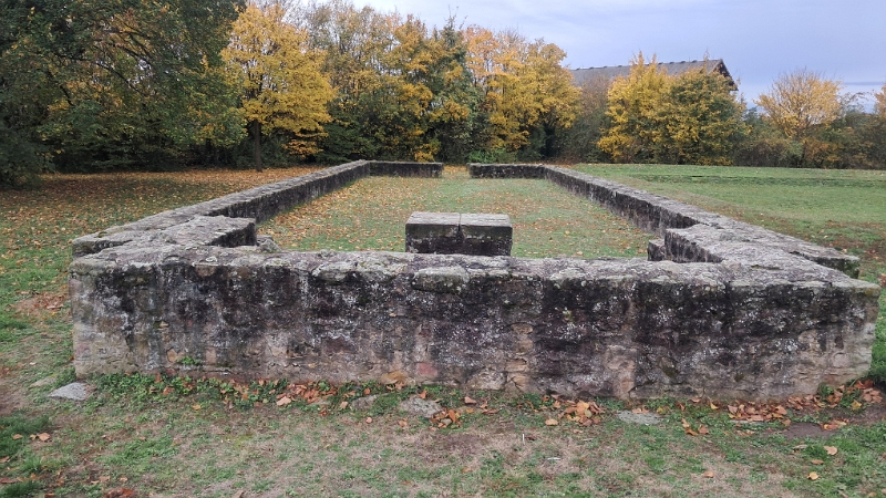 20251101_112434.jpg - ..wovon allerdings nur noch ein kleiner Rest zu sehen ist.