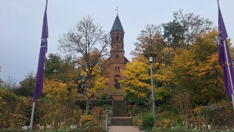 20251101_114505.jpg - ...kommen wir an der Ev. Kirche Lorsch mit dem Peony Garten vorbei.