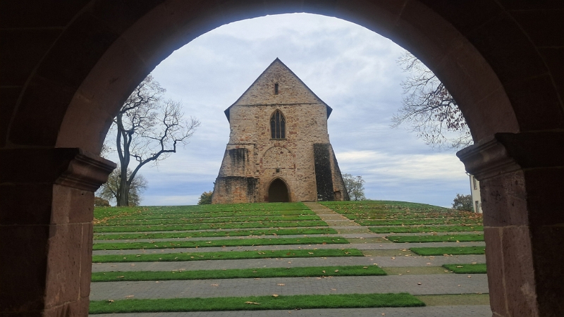 20251101_115230.jpg - ...sowie auf dem Hügel dahinter...