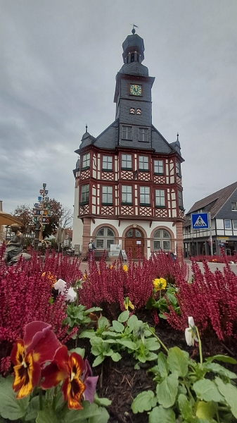 20251101_115802.jpg - Ein letztes Bild vom schönen Rathaus, dann laufen wir zurück zum Stellplatz...