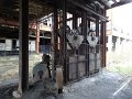 DSC06997