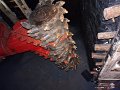 DSC07118