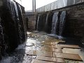 DSC07196
