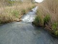 DSC07203