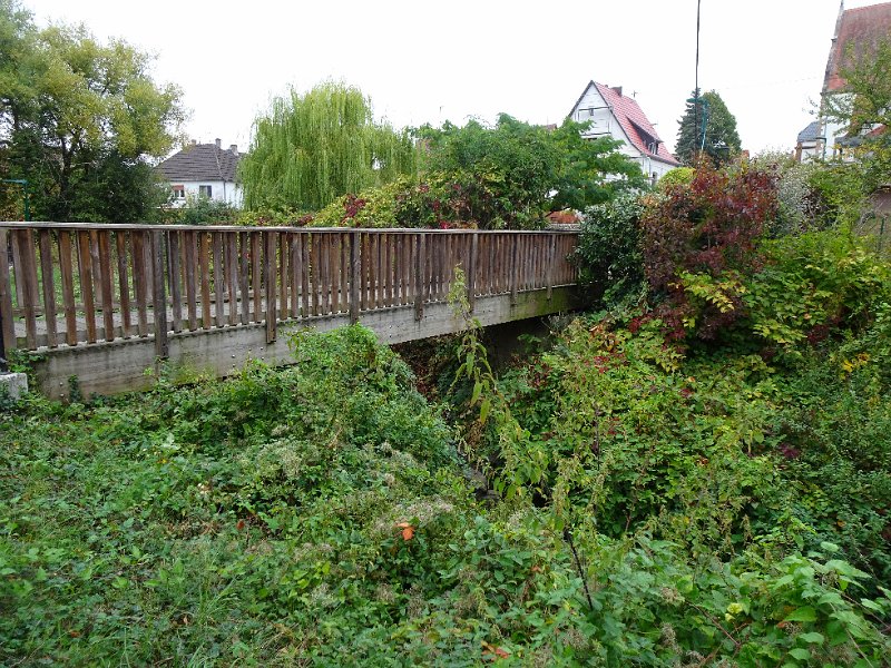 DSC08810.JPG - Wir kommen dann über eine kleine Brücke, die den Selzbach überquert...