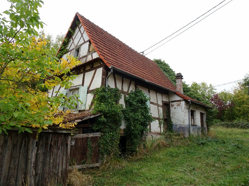 DSC08854.JPG
