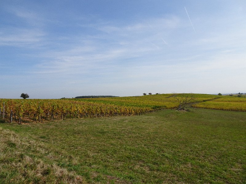DSC08882.JPG