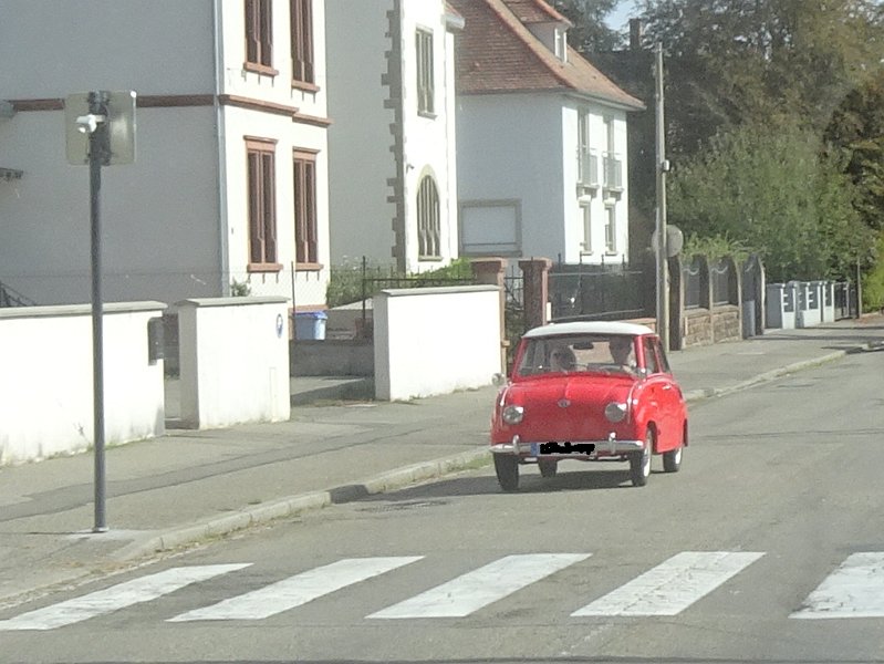 DSC08887.JPG - In Wissembourg kam uns dieser schöne Gogo entgegen.
