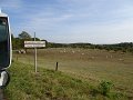 DSC08874