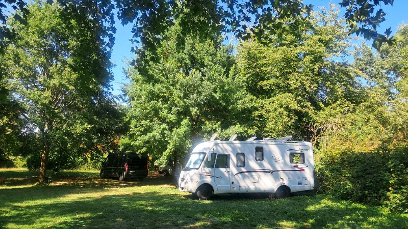 20260703_161909.jpg - Der Platz ist recht einfach gehalten, es gibt keine Parzellen etc. Einfach eine große Wiese auf der einen Seite und gegenüber "im Wald" viele Schattenplätze.