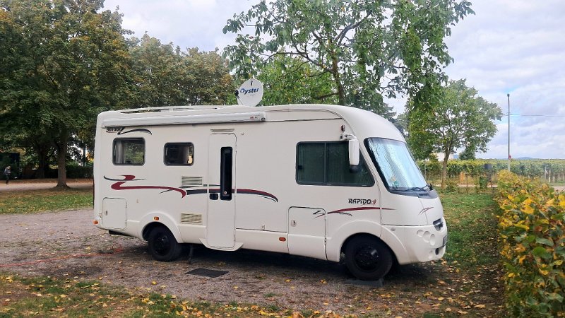 20261010_124803.jpg - Stellungswechsel! Wir haben beschlossen weiter in Richtung Weinstraße zu fahren. Nachdem wir dann festgestellt haben, dass wohl jeder noch so kleine Platz völlig überfüllt ist sind wir kurzerhand nach Kirrweiler gefahren. Hier ist nicht so viel trubel...