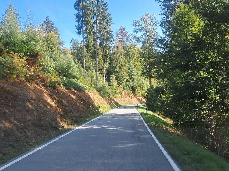 20260912_095054.jpg - ...durch den Odenwald...