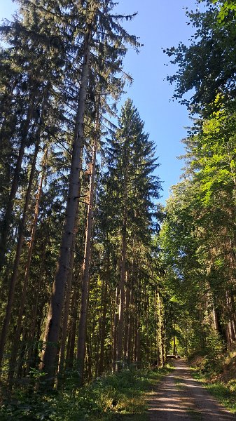20260912_112252.jpg - ...wir wollen keine Mörderwanderung machen aber...