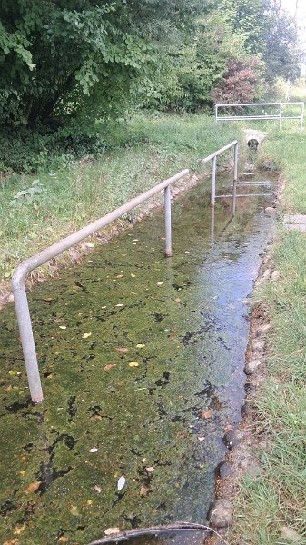 20260912_115545.jpg - ...wo wir eigentlich "Kneippen" wollten. In diese Plörre trauen wir uns dann aber doch nicht! :-(