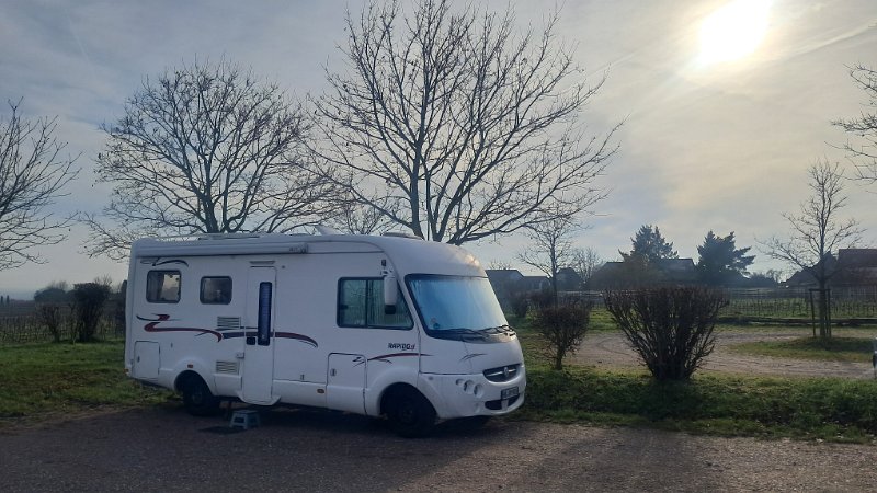 20260117_120432.jpg - Am nächsten Morgen, nach einem späten Frühstück...