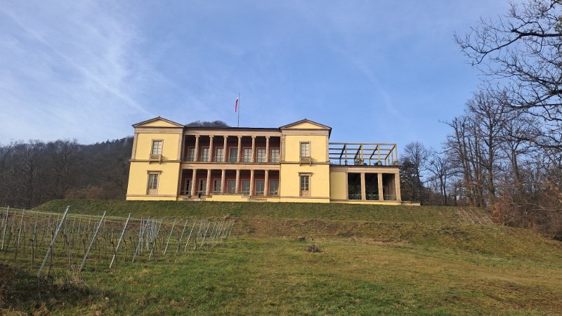 20260117_123658.jpg - ...starten wir zu einer Wanderung! Wir laufen zunächst zur Ludwigshöhe...