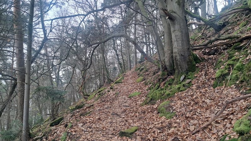 20260117_134411.jpg - Aaaalter, wir kraxeln nun etwa 450 Höhenmeter hoch...