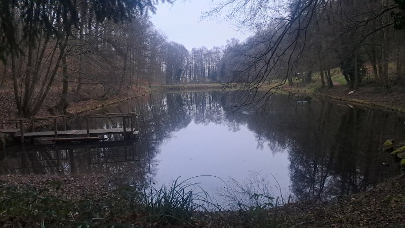 20260117_170148.jpg - ...und dem Hilschweiher...