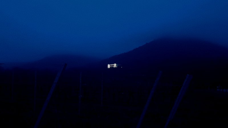 20260117_173122.jpg - Unterhalb der Villa Ludwigshöhe kommen wir wieder aus dem Tal...