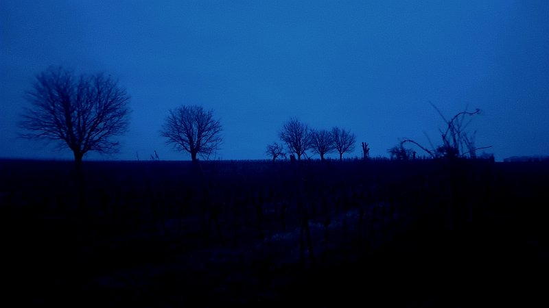 20260117_173127.jpg - ...zurück in die Rheinebene...