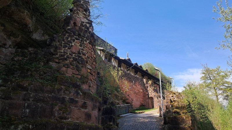 20260418_124319.jpg - ...erreichen wir die Burg. *Uff* Es ist sauwarm in der Sonne und es geht steil bergauf...