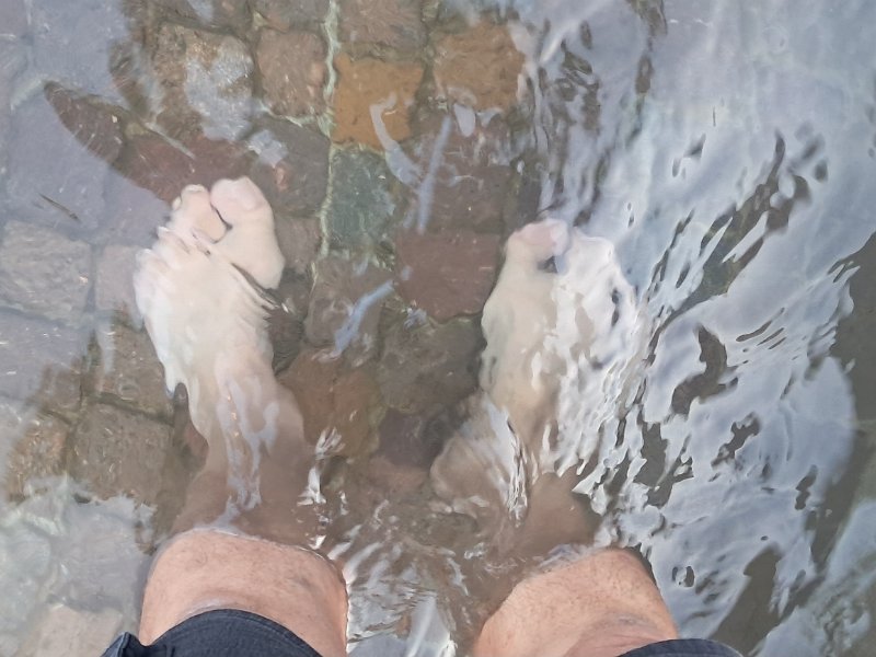 20260718_202521.jpg - In der schönen Kneipp-Anlage ein paar Runden gedreht...