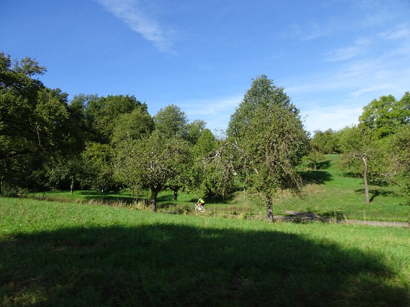DSC08346.JPG