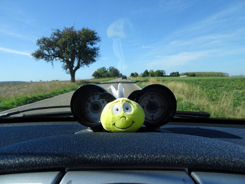 DSC08358.JPG - Am nächsten Tag fahren wir unseren Smart aus der Heckgarage vom Dixi. *SCHERTZ* Neee, wir sind tatsächlich mit dem Womo und dem Smart hier, weil wir diesen am Sonntag in Ilsfeld bei einer Werkstatt abgeben wollen.