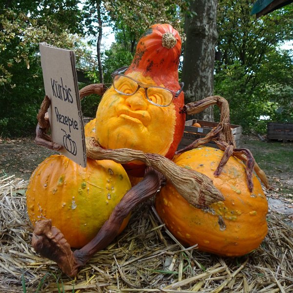 DSC08412.JPG - Einfach GEIL!