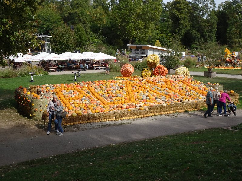 DSC08414.JPG