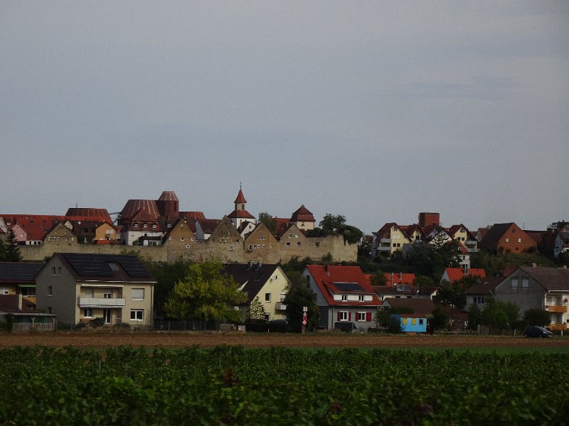 DSC08514.JPG - Auf dem Heimweg kommen wir u.a. durch Lauffen am Neckar...