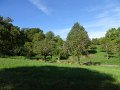 DSC08346