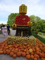 DSC08392