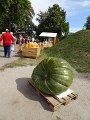 DSC08402