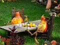 DSC08406