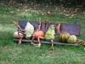 DSC08410