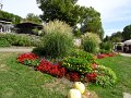 DSC08427