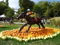 DSC08428