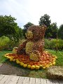 DSC08429