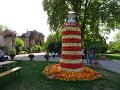 DSC08446