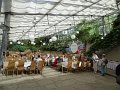 DSC08447