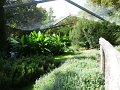 DSC08451