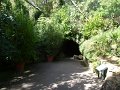 DSC08456