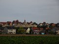 DSC08514