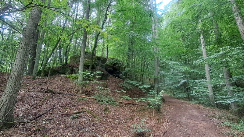 20260822_114533.jpg - Am nächsten Tag ziehen wir unsere Wanderschuhe an und laufen los...