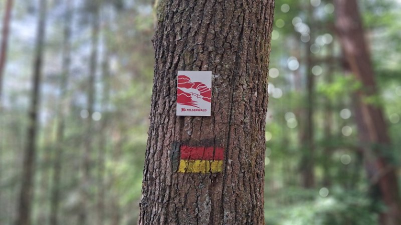 20260822_120748.jpg - ...wir wollen einen weiteren Teil vom Felsenwald-Wanderweg laufen.