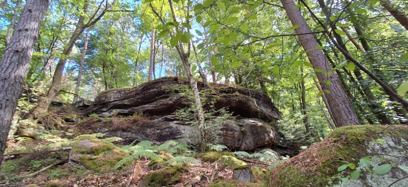 20260822_122234.jpg