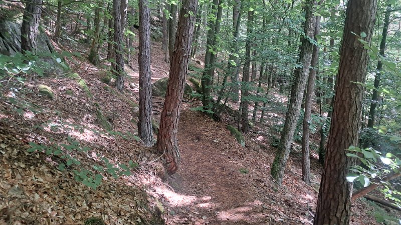 20260822_122700.jpg - Der Weg ist echt schön und abwechslungsreich.
